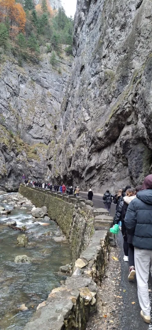 Ősz Erdélyben 2.webp